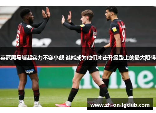 英冠黑马崛起实力不容小觑 谁能成为他们冲击升级路上的最大阻碍 英冠黑马崛起实力不容小觑 谁能成为他们冲击升级路上的最大阻碍