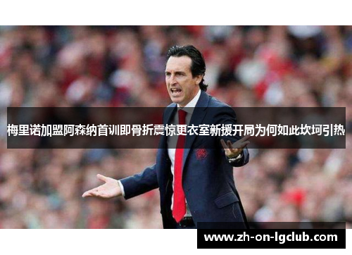 梅里诺加盟阿森纳首训即骨折震惊更衣室新援开局为何如此坎坷引热